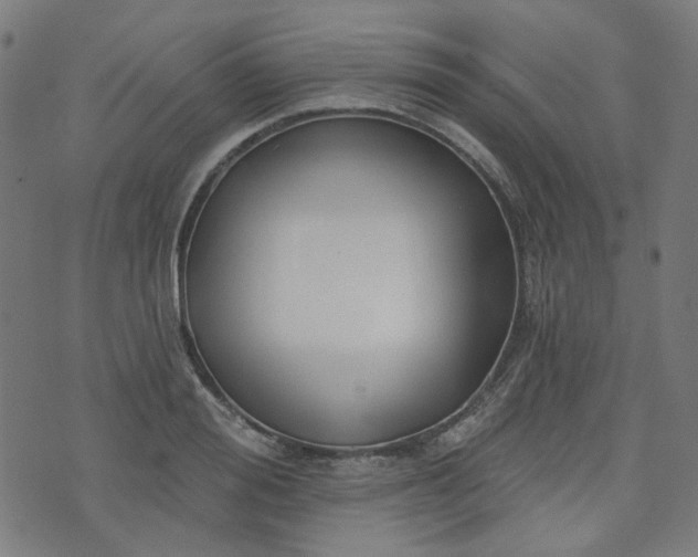 X0000076240988200610051150