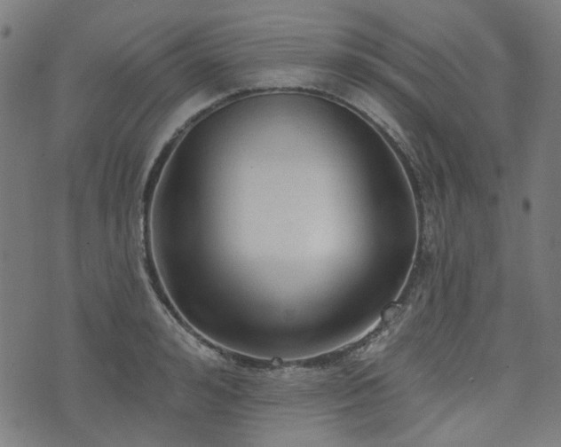 X0000076240992200610051150