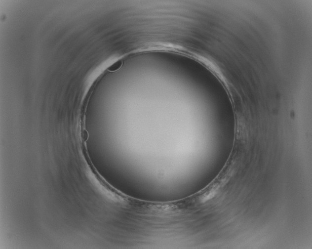 X0000076241003200610051150