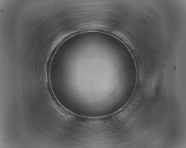 X0000076241031200610051150