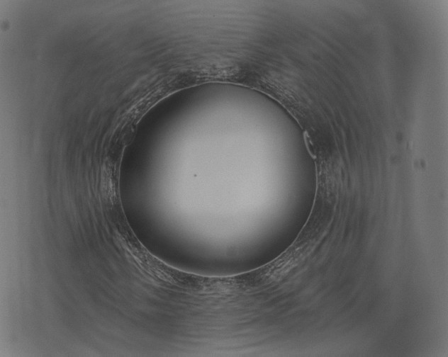 X0000076241058200610051149