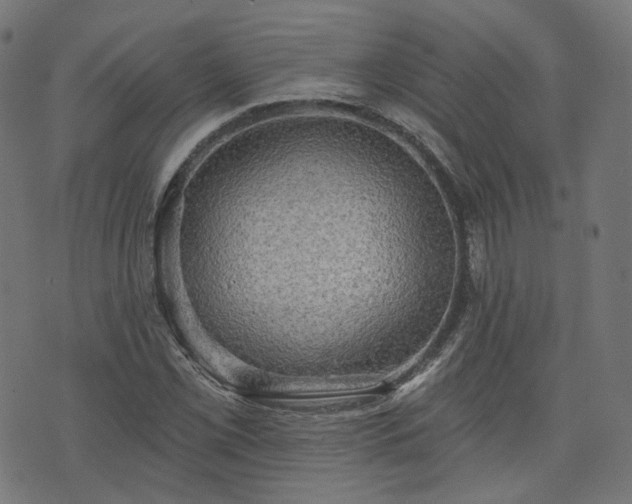 X0000076241069200610051149