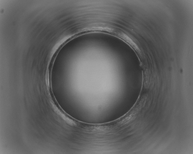 X0000076241084200610051149
