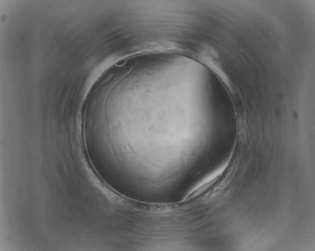 X0000076241099200610051149