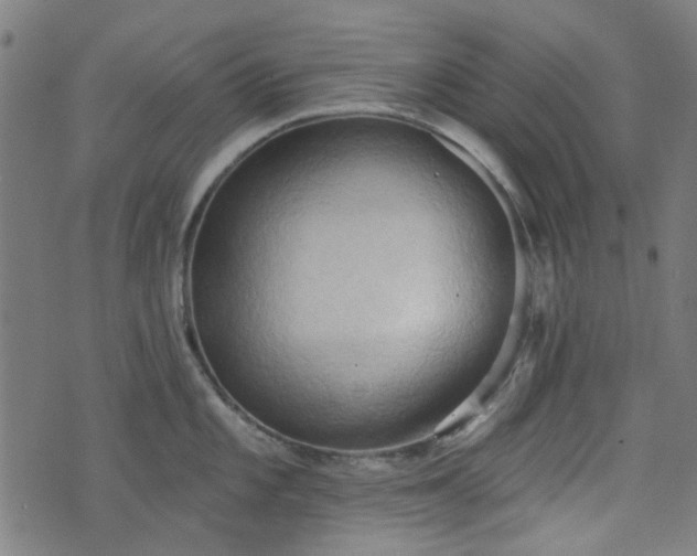 X0000076241101200610051149
