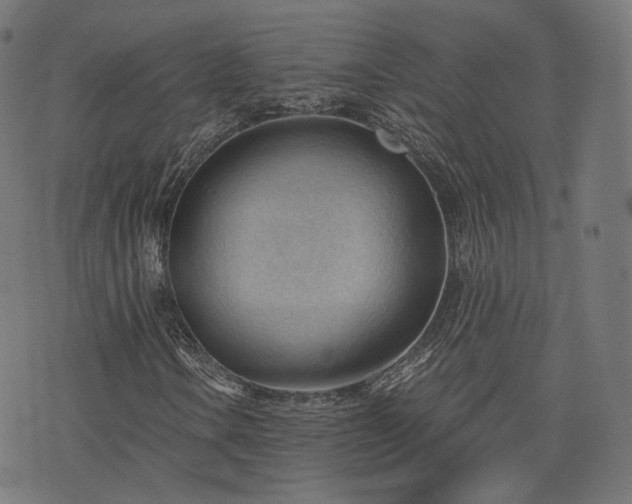 X0000076241106200610051148