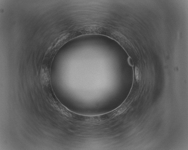 X0000076241107200610051148