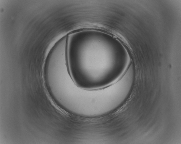 X0000076241128200610051148