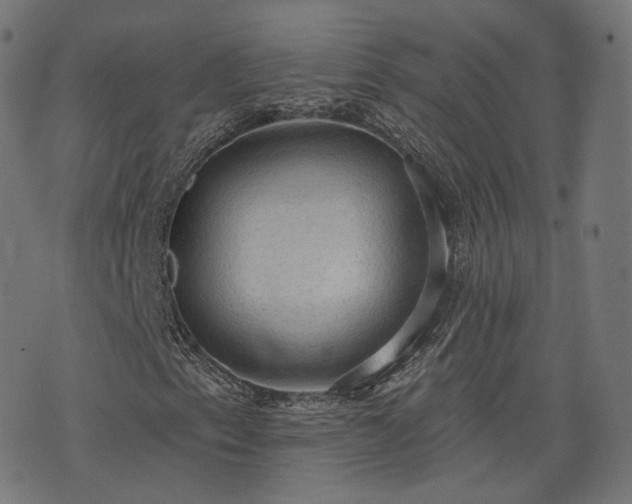 X0000076241153200610051148