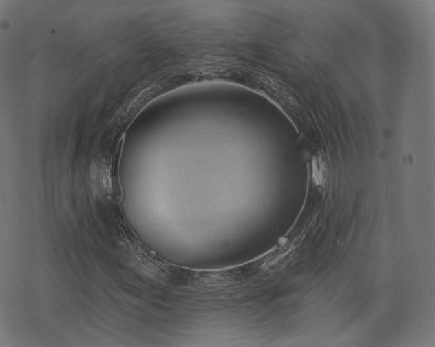 X0000076241155200610051148