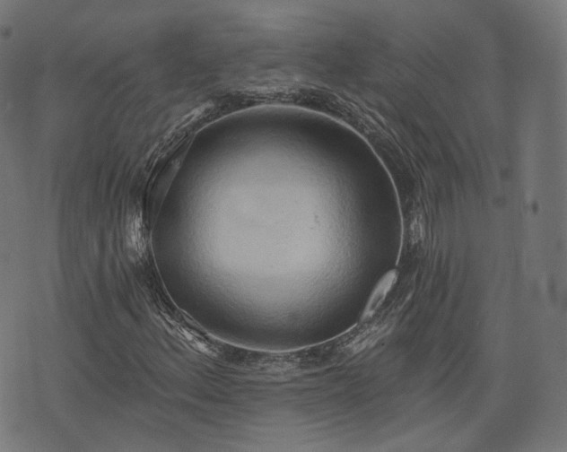 X0000076241156200610051148