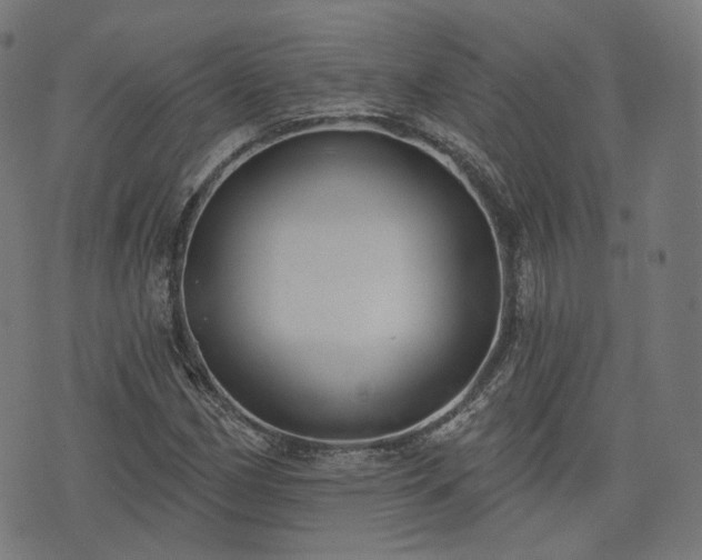 X0000076241162200610051148