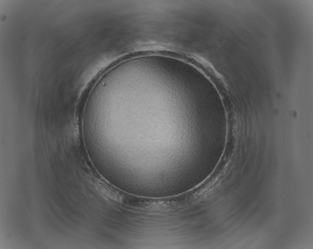 X0000076241167200610051148