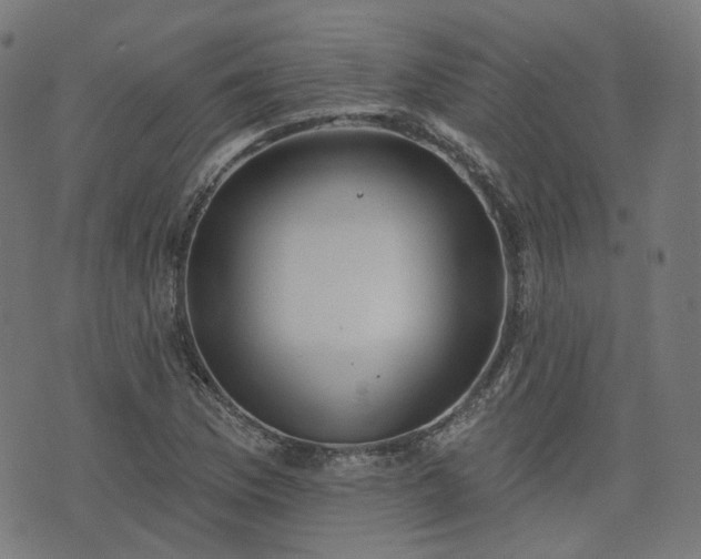 X0000076241169200610051148
