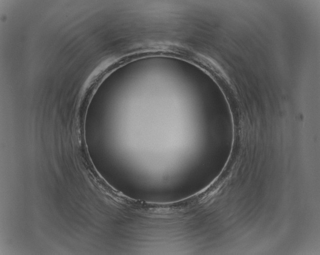 X0000076241172200610051147