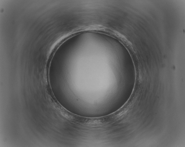 X0000076241174200610051147