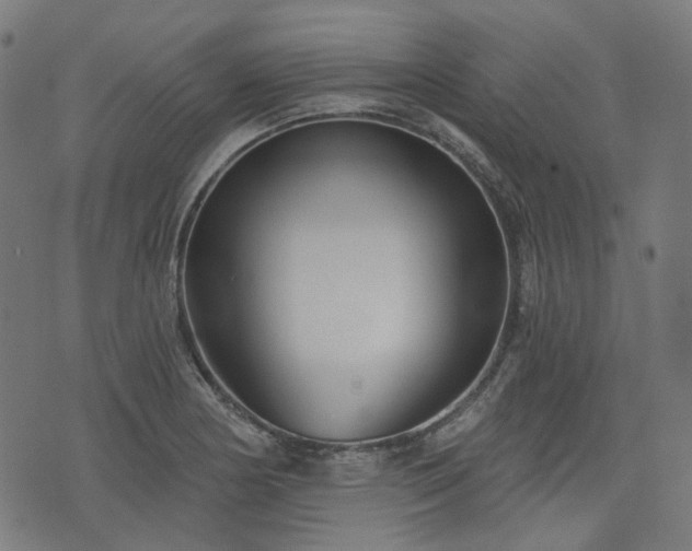 X0000076241178200610051147