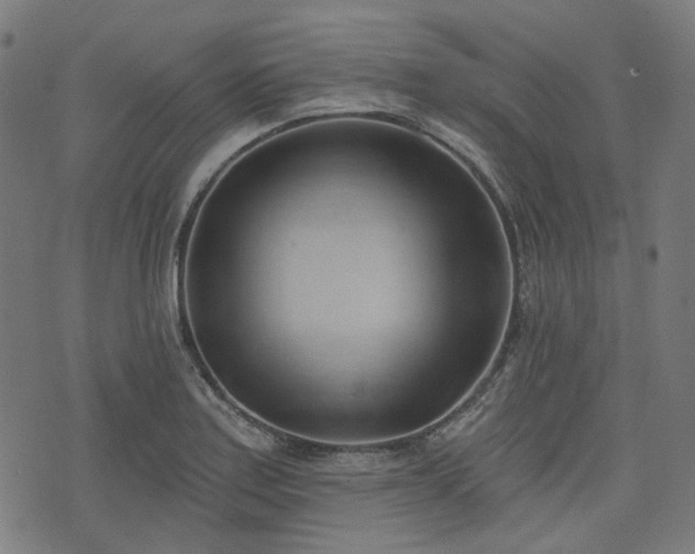 X0000076241179200610051147