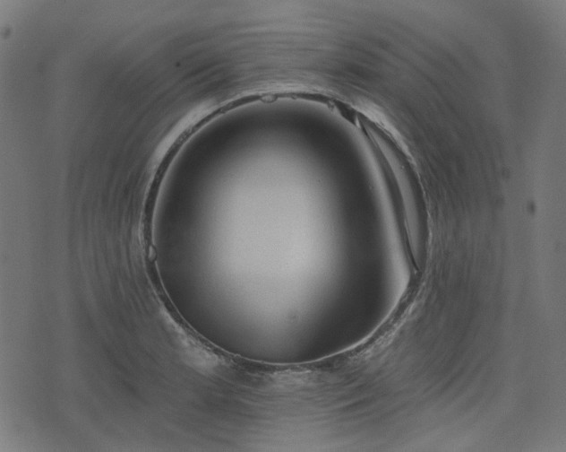 X0000076241181200610051147
