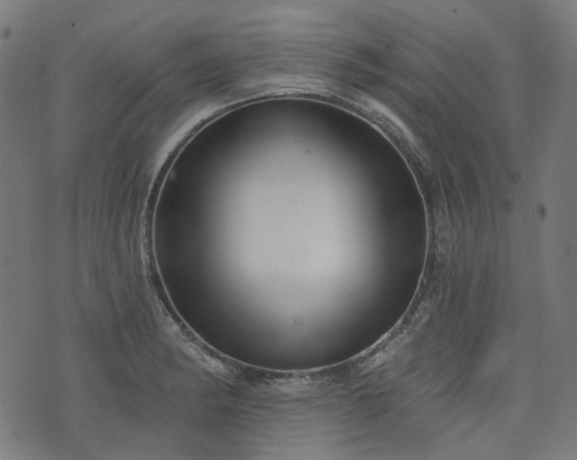 X0000076241182200610051147