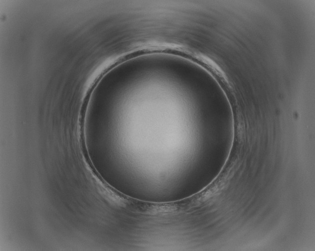 X0000076241183200610051147