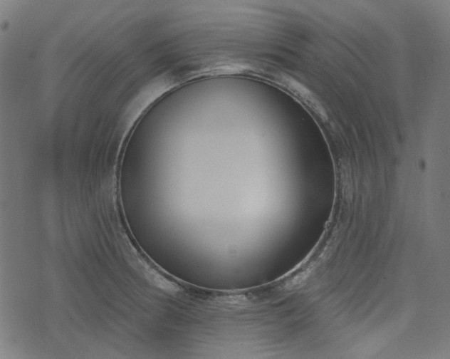 X0000076241186200610051147