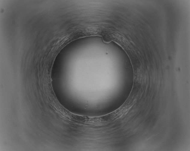 X0000076241201200610051146