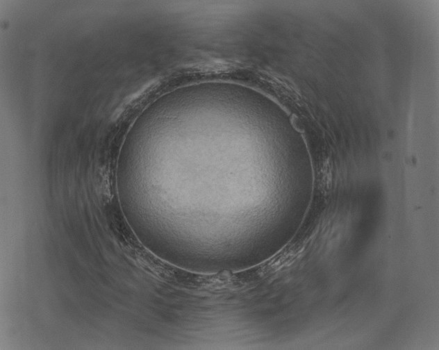X0000076241205200610051146