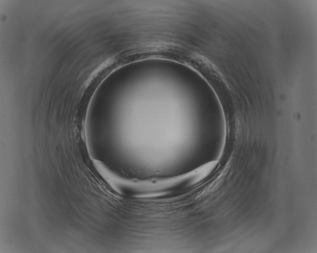 X0000076241210200610051146