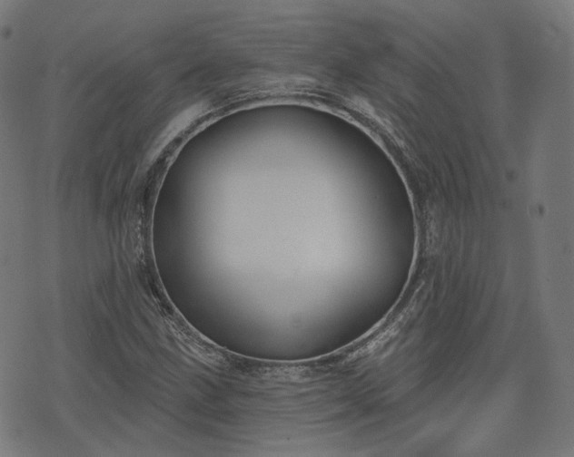 X0000076241211200610051146