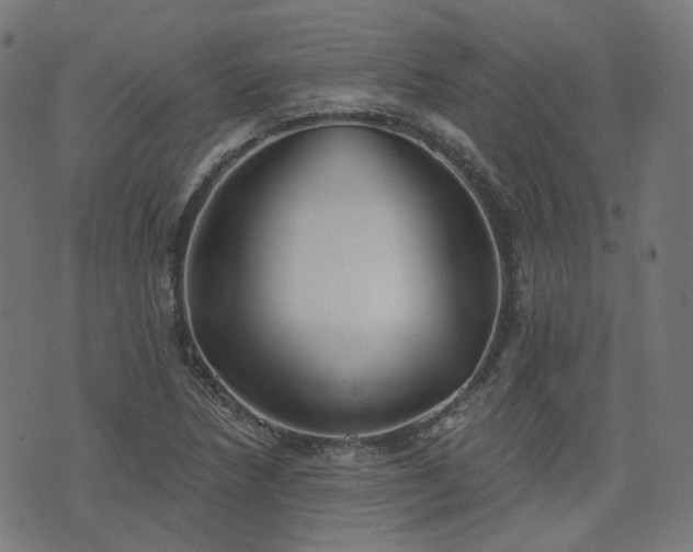 X0000076241218200610051147