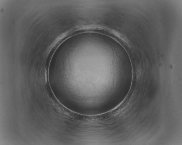 X0000076241221200610051147