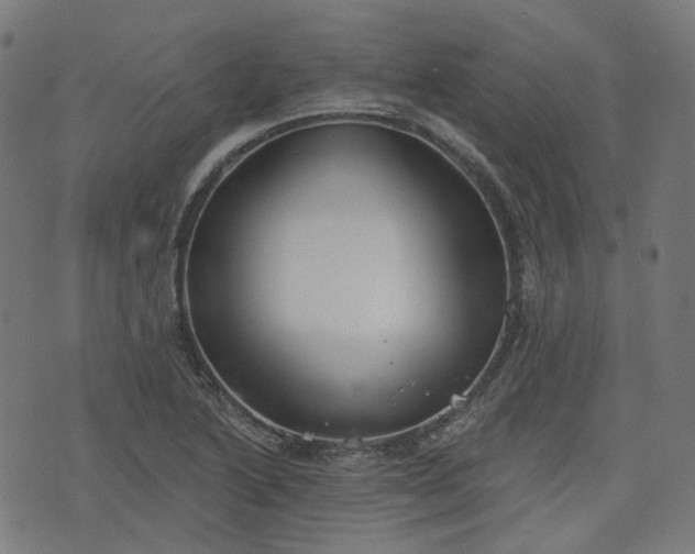 X0000076241222200610051147