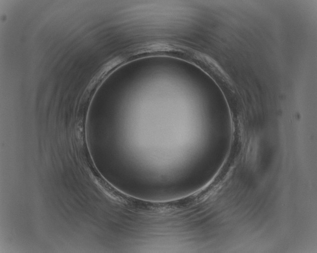 X0000076241225200610051147