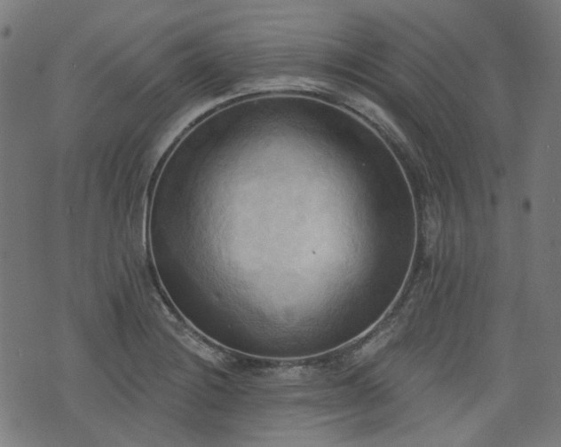 X0000076241228200610051147