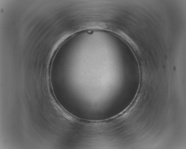 X0000076241240200610051147