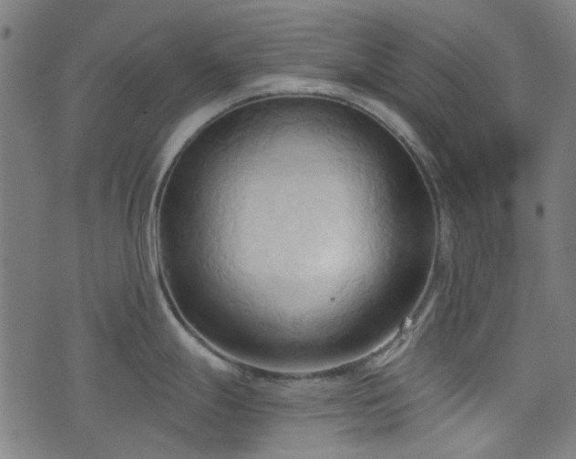 X0000076241247200610051147