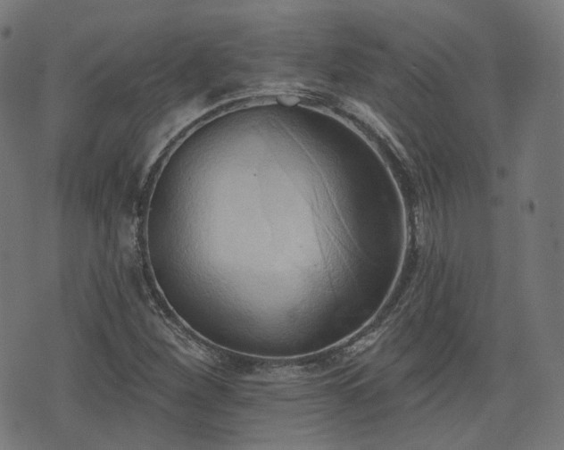 X0000076241260200610051146