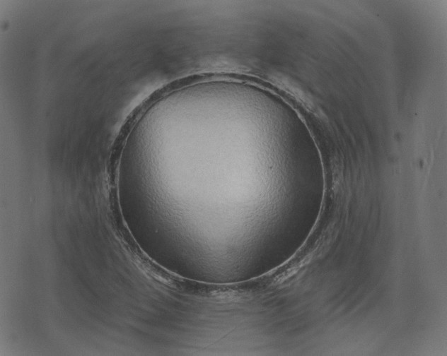 X0000076241264200610051146