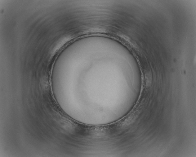 X0000076241266200610051146