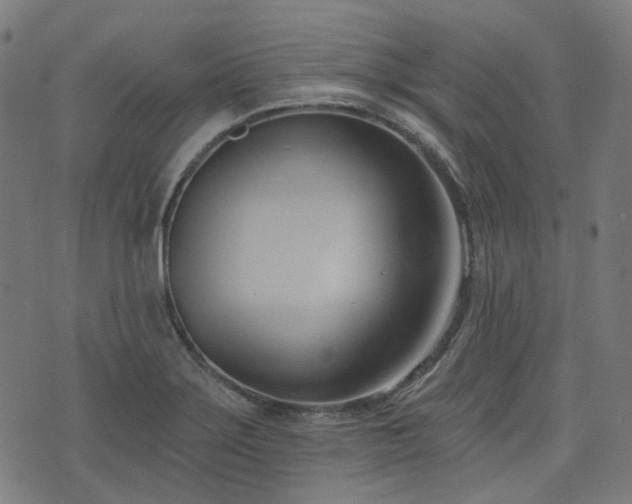 X0000076241275200610051146
