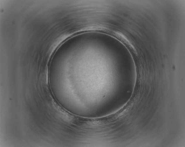 X0000076241276200610051146
