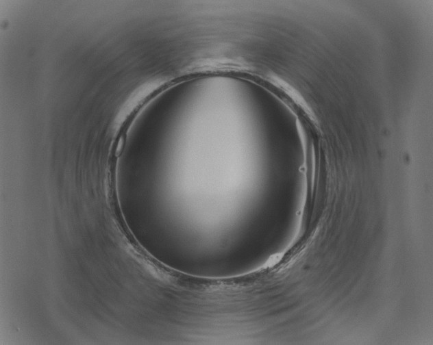 X0000076241277200610051146