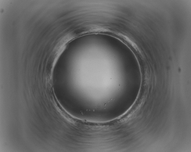 X0000076241281200610051146