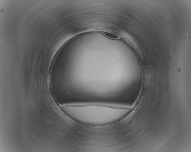 X0000076241284200610051146