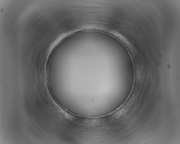 X0000076241286200610051146