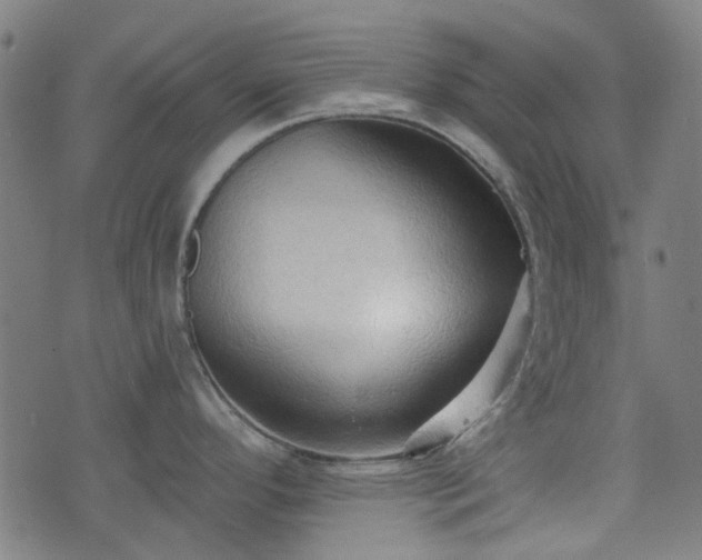 X0000076241296200610051145