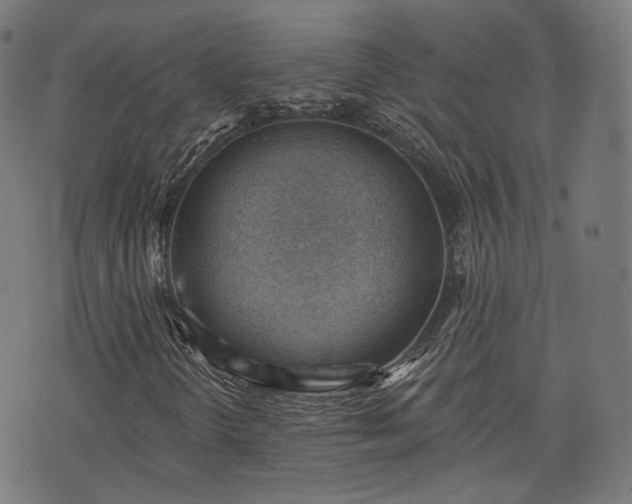 X0000076241298200610051145
