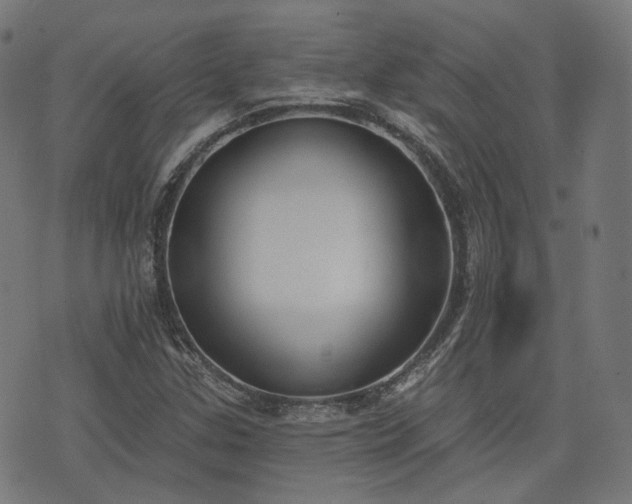 X0000076241307200610051145