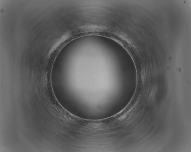 X0000076241309200610051145